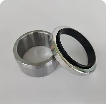 Oil Seal / Sleeve Wear